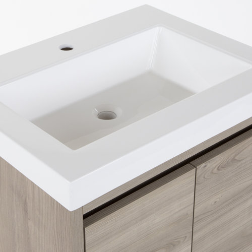 Mercury Row® Altenburg 25'' Wall Mounted Single Bathroom Vanity with